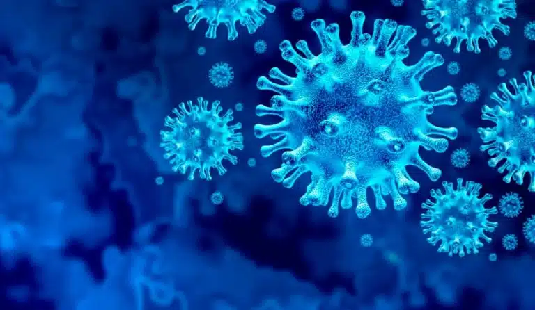 Formacion contraEl coronavirus