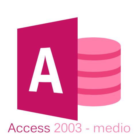 Curso de access 2003 nivel medio