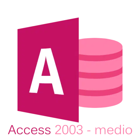 Curso de access 2003 nivel medio