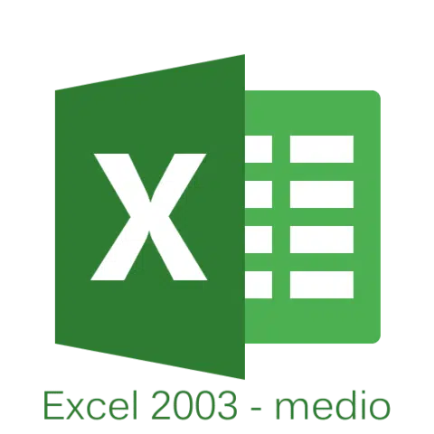 Curso de Excel 2003 medio