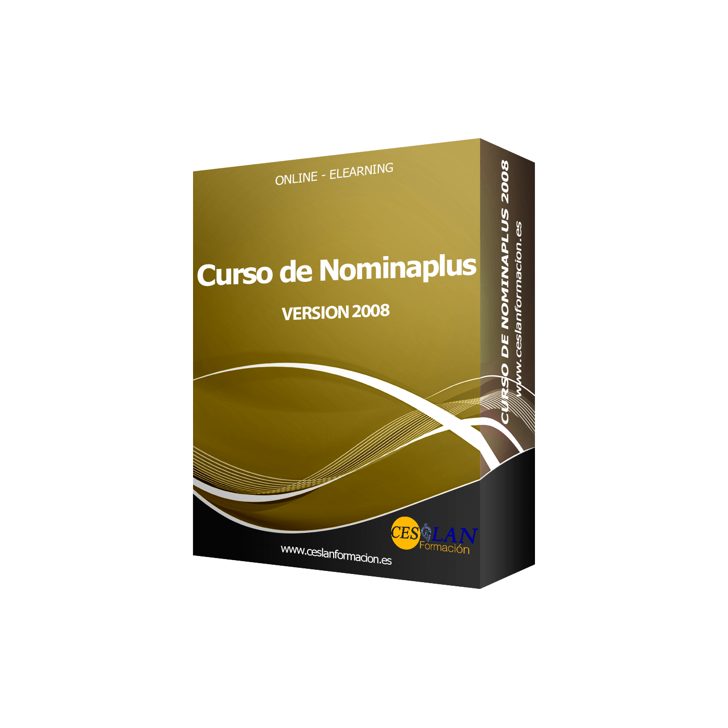 Curso de Nominaplus 2008