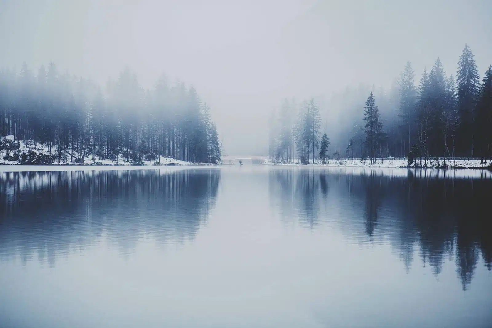 Let it Snow